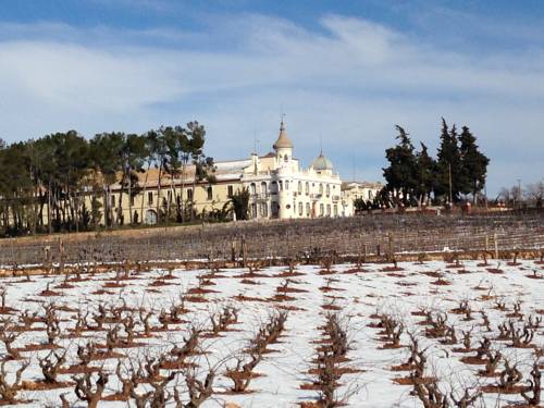 Requena chateau with winter vines