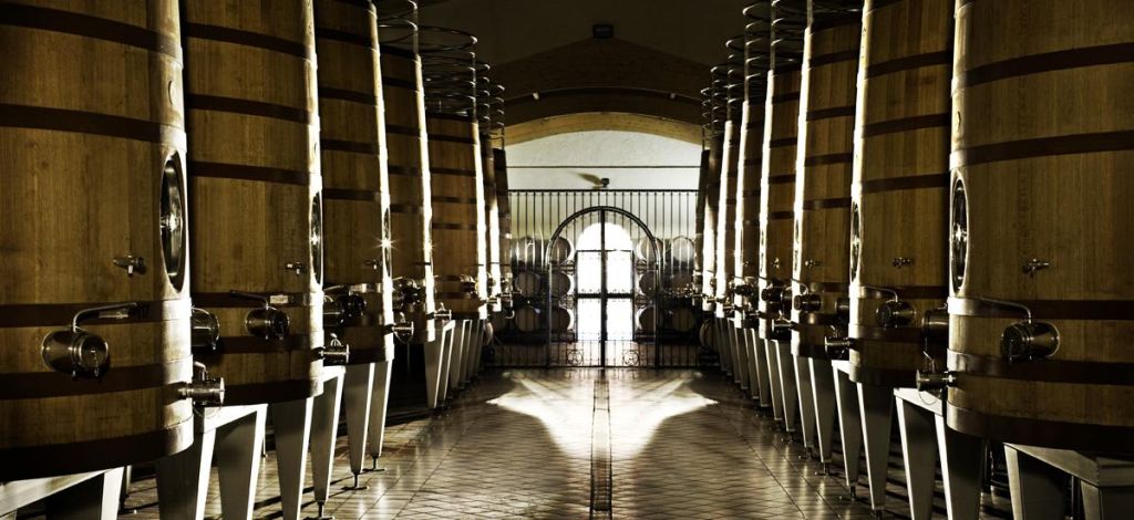 Jumilla wineries tour