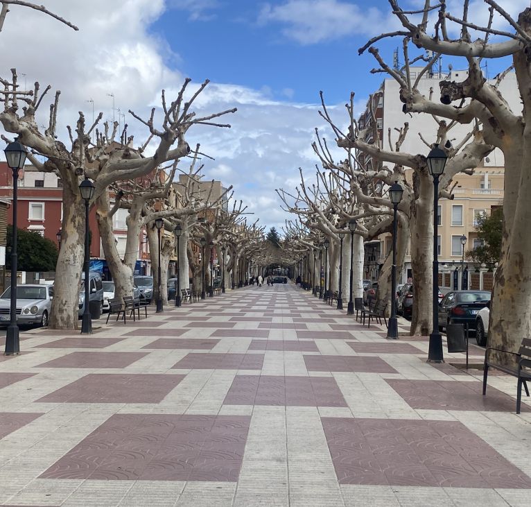 Requena town