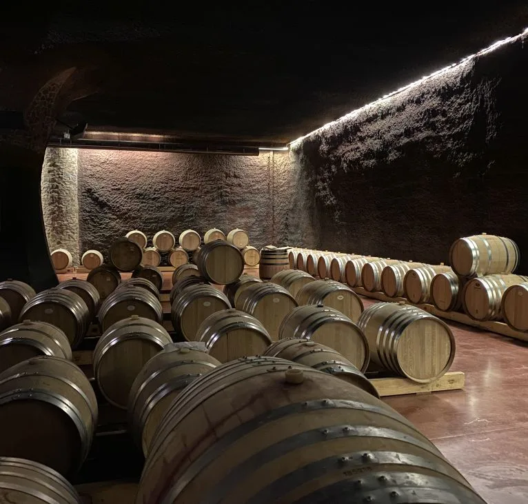 Priorat wine barrels