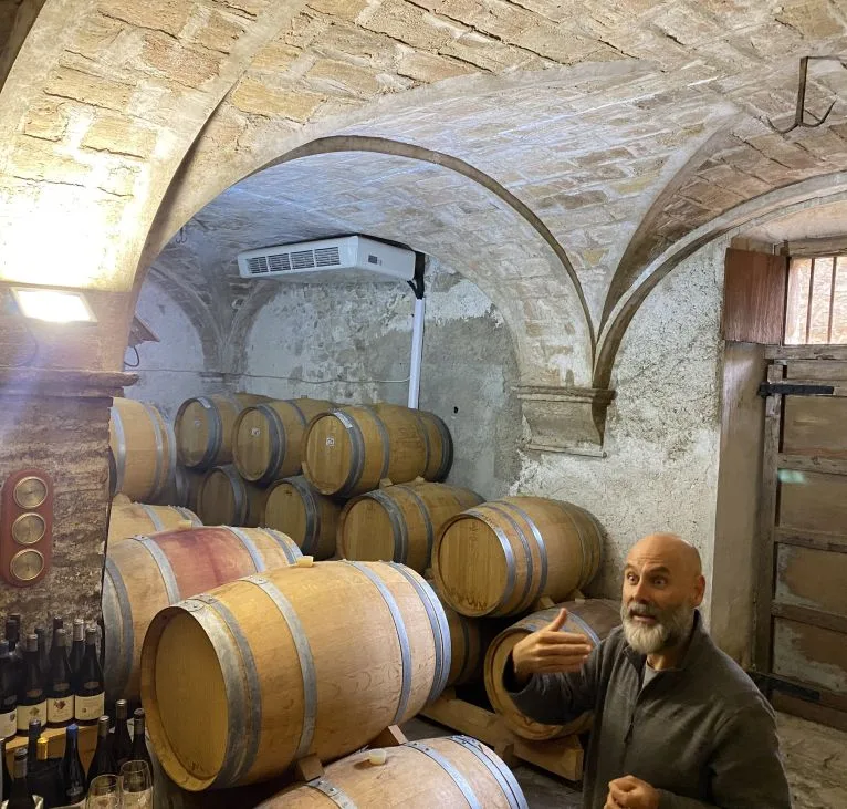 Priorat winery barrels