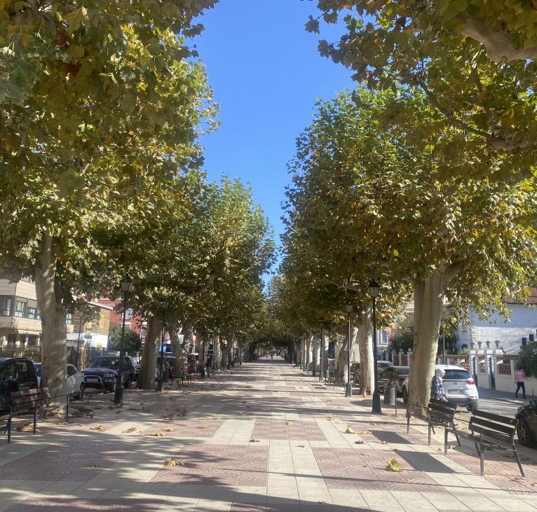 Requena
