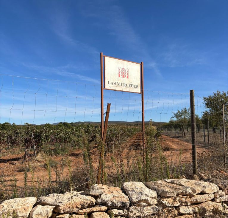 Vineyard Utiel-Requena