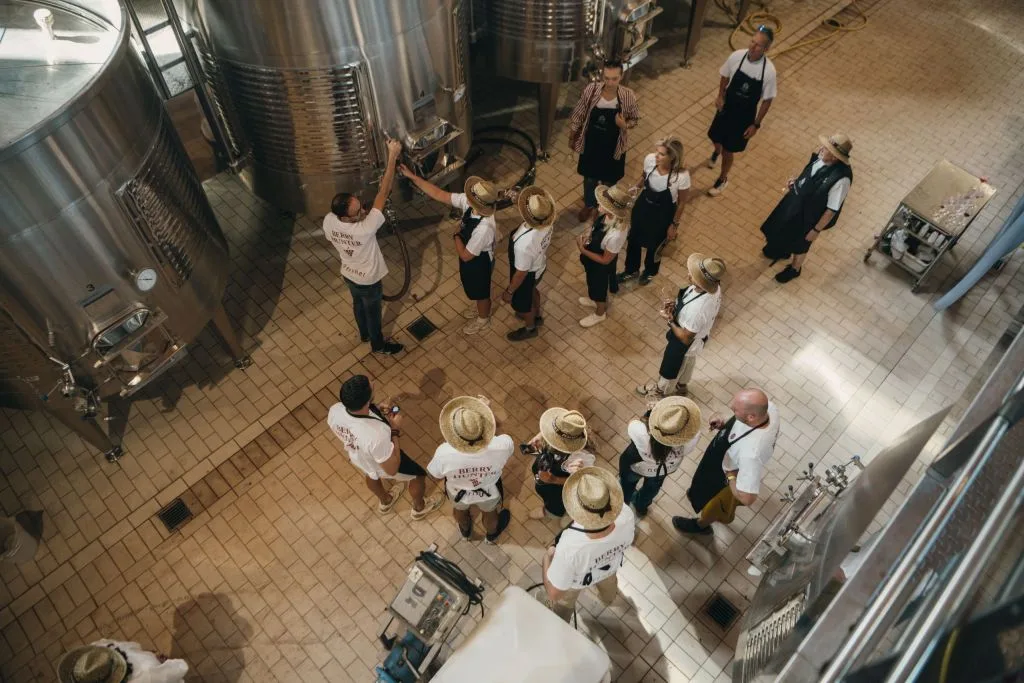 Priorat wine tasting
