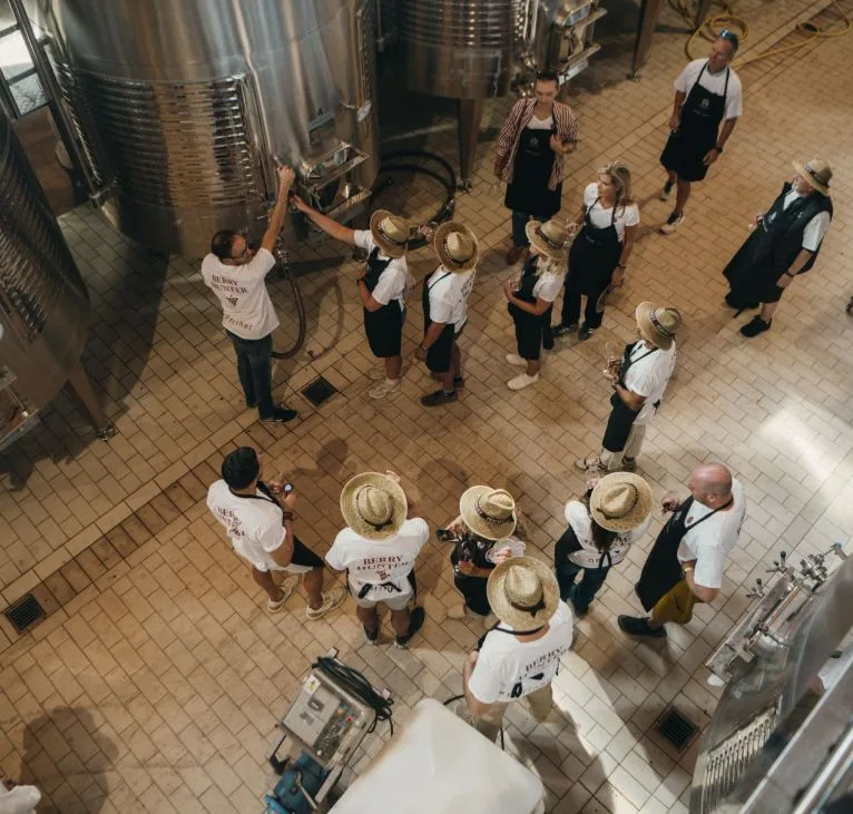 Priorat wine tasting