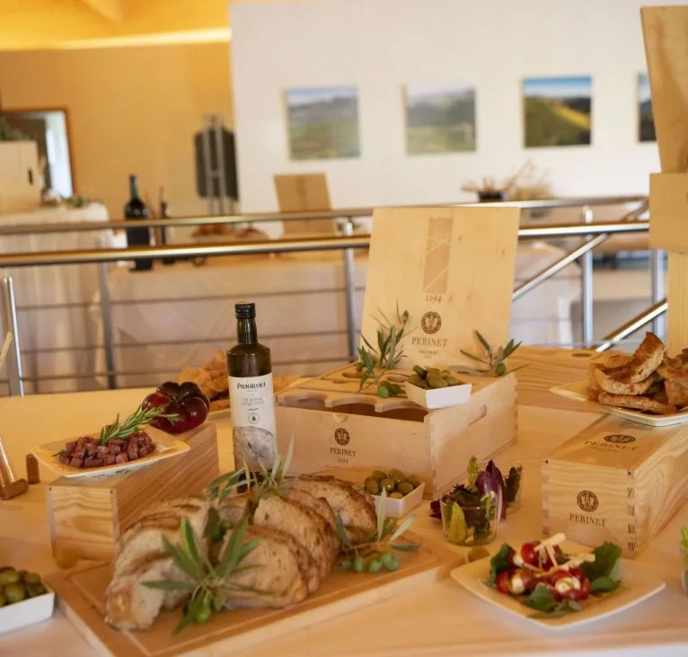 Priorat wine tour from Valencia