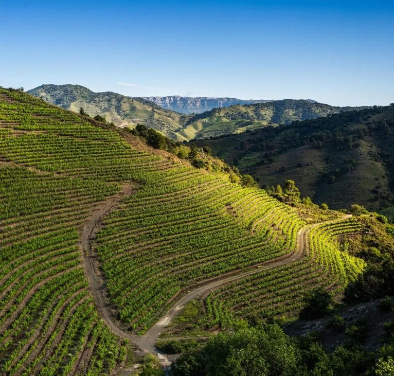 Priorat wine tour itinerary