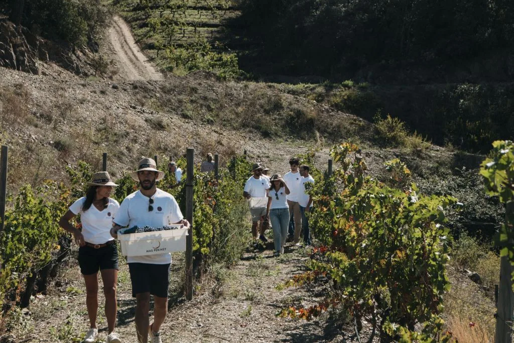 best Priorat wine tours