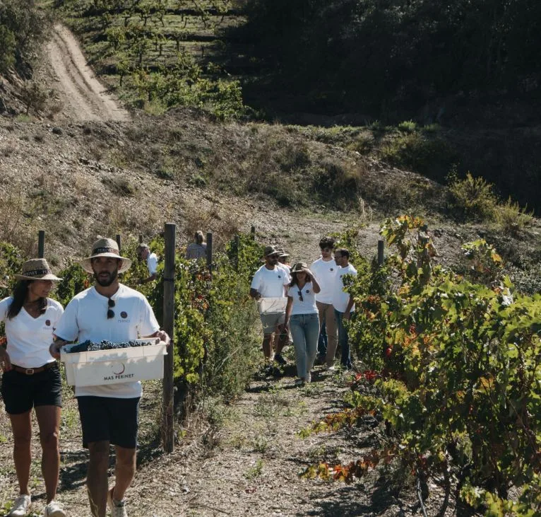 best Priorat wine tours