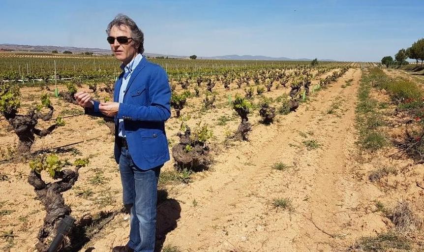 Utiel Requena wine tour