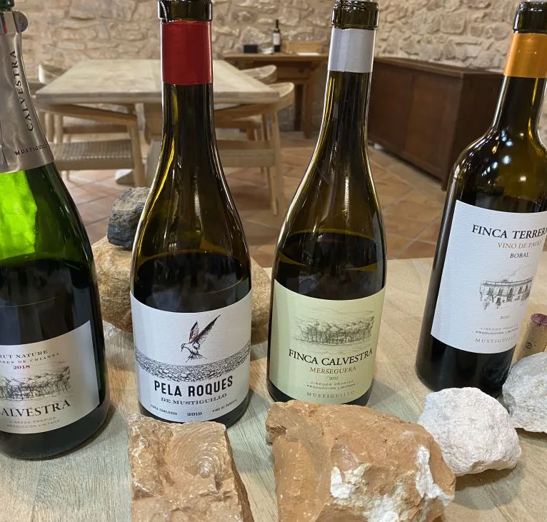 valencian wines