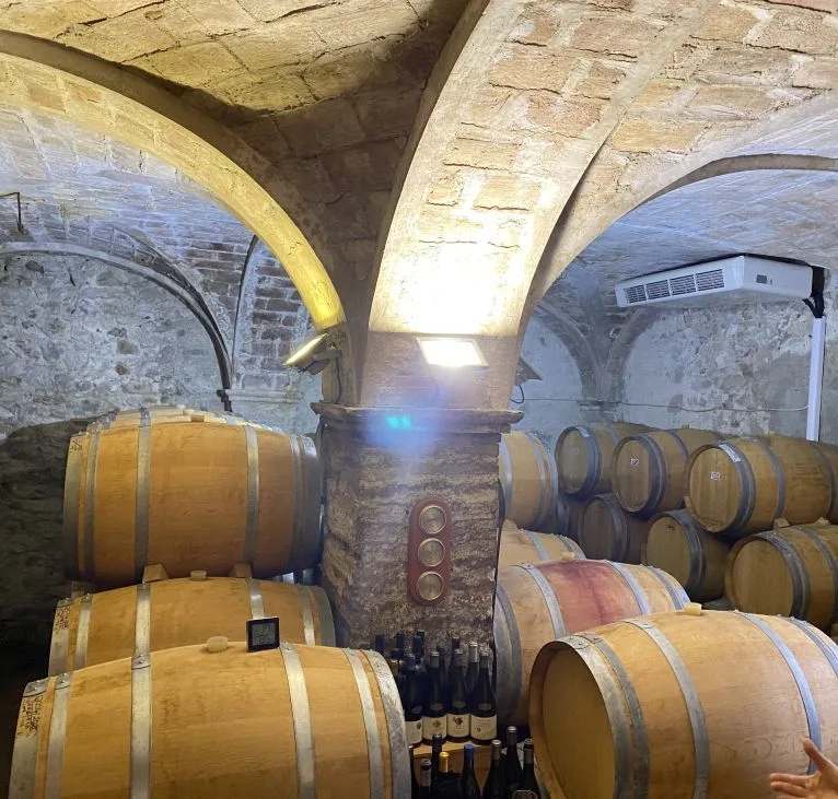wine cellar