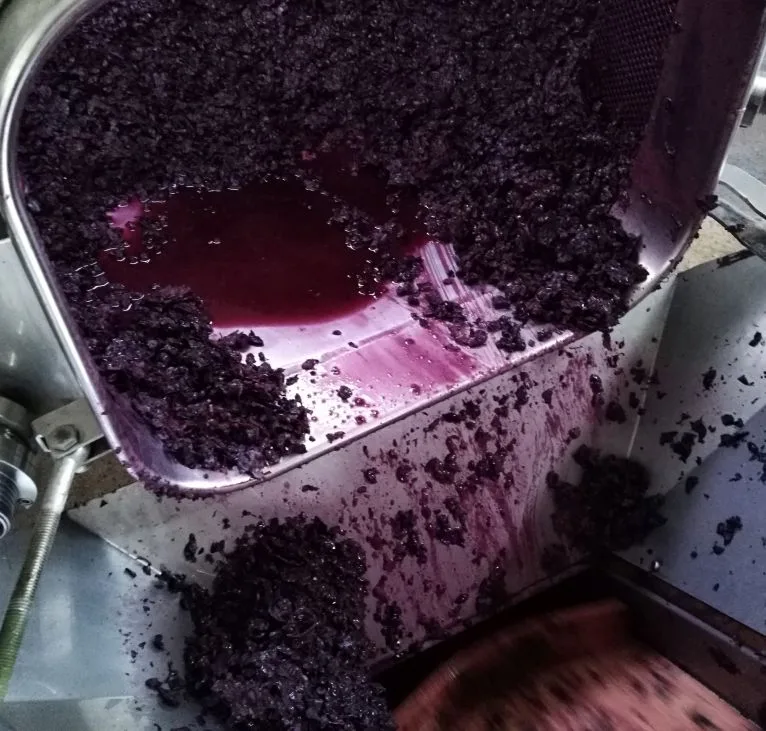 wine making