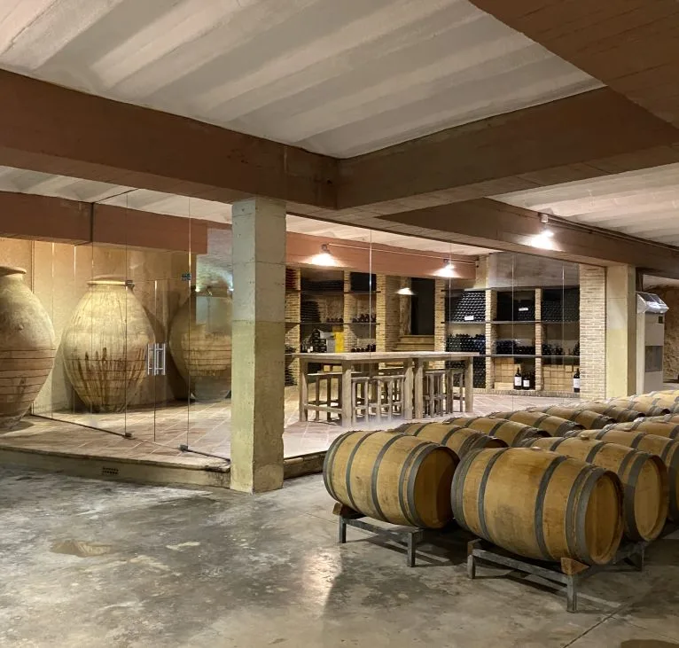 wine tasting valencia spain