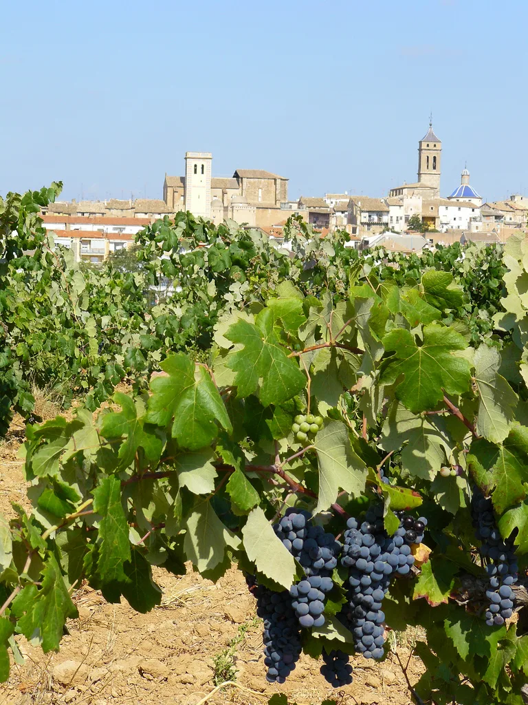 wine tasting valencia