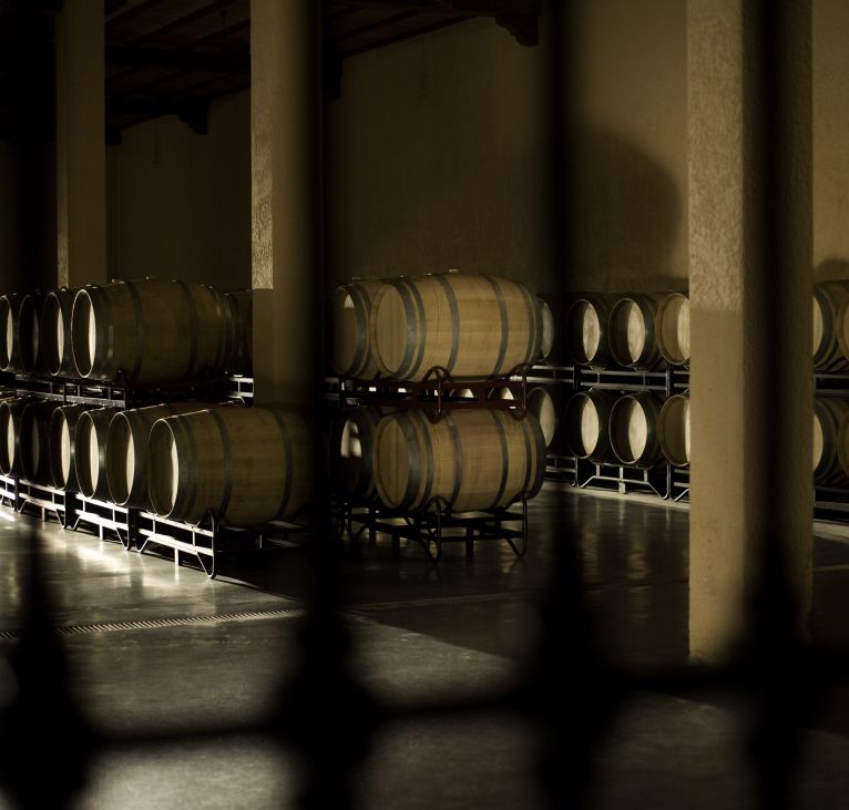 Castilla Wine tour barrel hall