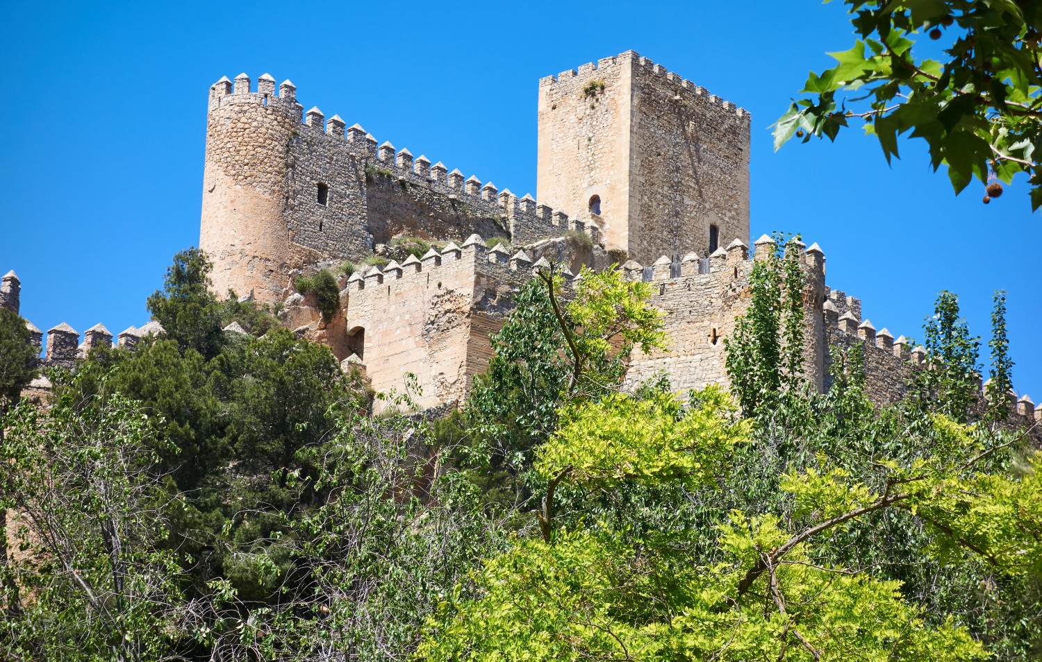 Almansa castle in Albacete - Castilla-La Mancha Wine Tour