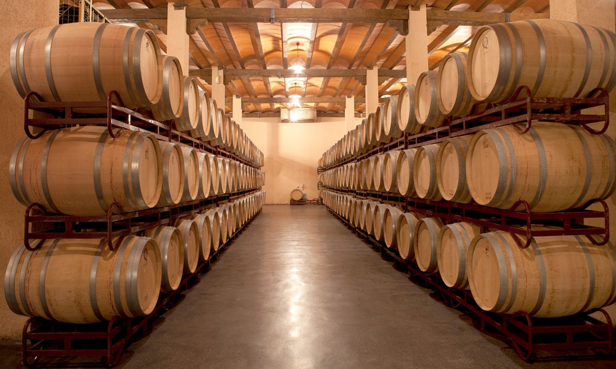 Barrel Hall Finca Los Aljibes - Valencia Wine Tour