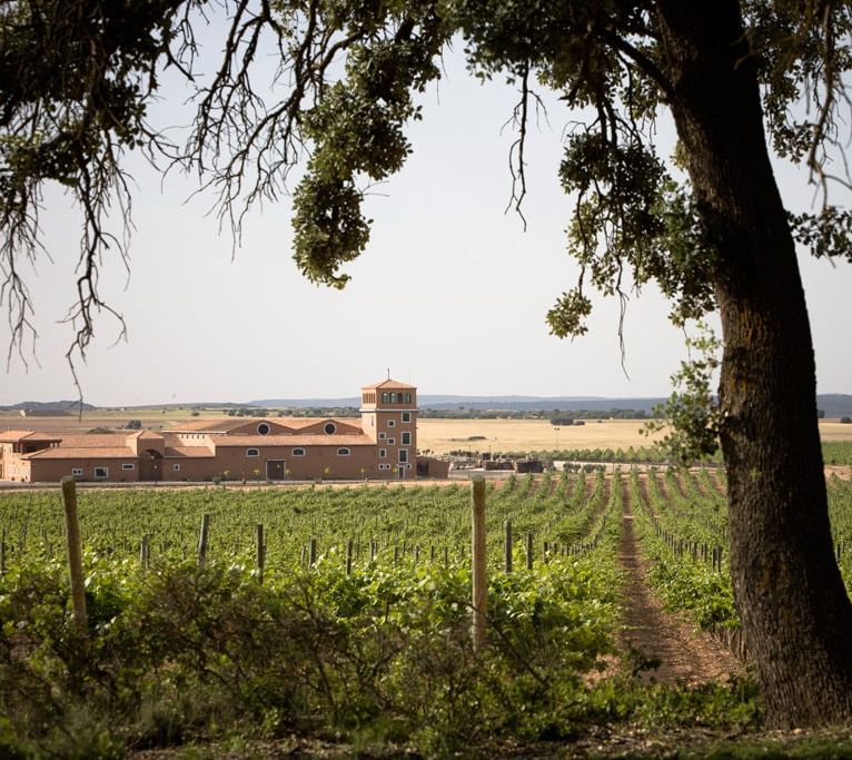 Finca Los Aljibes Estate Vineyards Castilla La Mancha