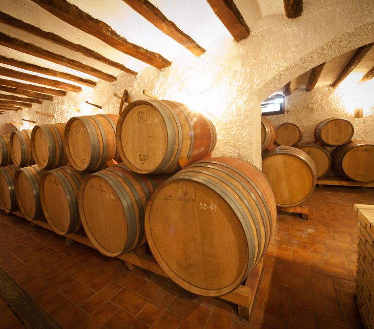 Barrel Hall DO Almansa Wine tour - Valencian Cellar Tours